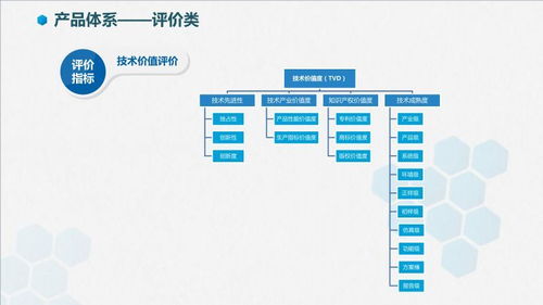 智信九鼎技術(shù)價(jià)值評價(jià) 軟件技術(shù)推廣服務(wù)的專業(yè)賦能